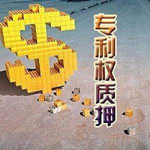 盛阳小讲堂：哪些情况下不给予专利权质押登记